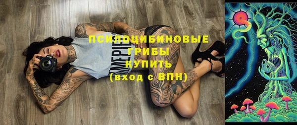 Альфа ПВП Белокуриха