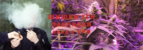 Альфа ПВП Белокуриха