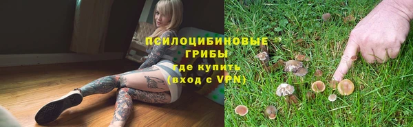Альфа ПВП Белокуриха