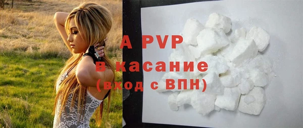 Альфа ПВП Белокуриха