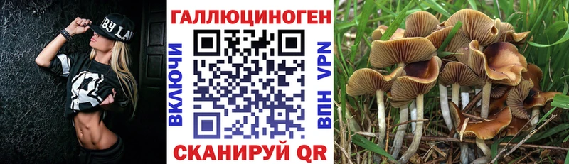 Псилоцибиновые грибы Magic Shrooms  нарко площадка как зайти  Сердобск 
