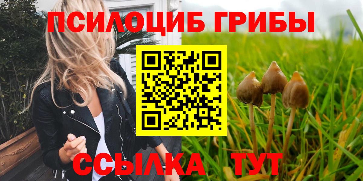 Галлюциногенные грибы Psilocybe  Псилоцибиновые грибы Psilocybine cubensis  Сердобск  Вход с VPN 